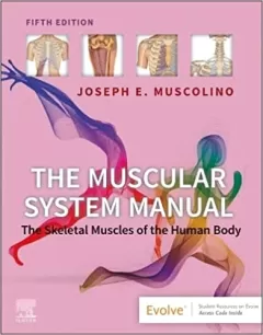 The Muscular System Manual: The Skeletal Muscles of the Human Body, 5th Edition