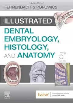 Illustrated Dental Embryology, Histology, and Anatomy, 5th Edition