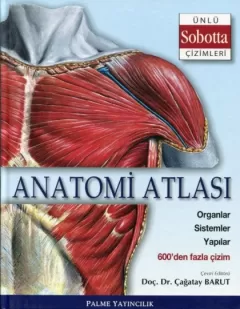 Anatomi Atlası (Sobotta Çizimleri)