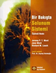 Bir Bakışta Solunum Sistemi