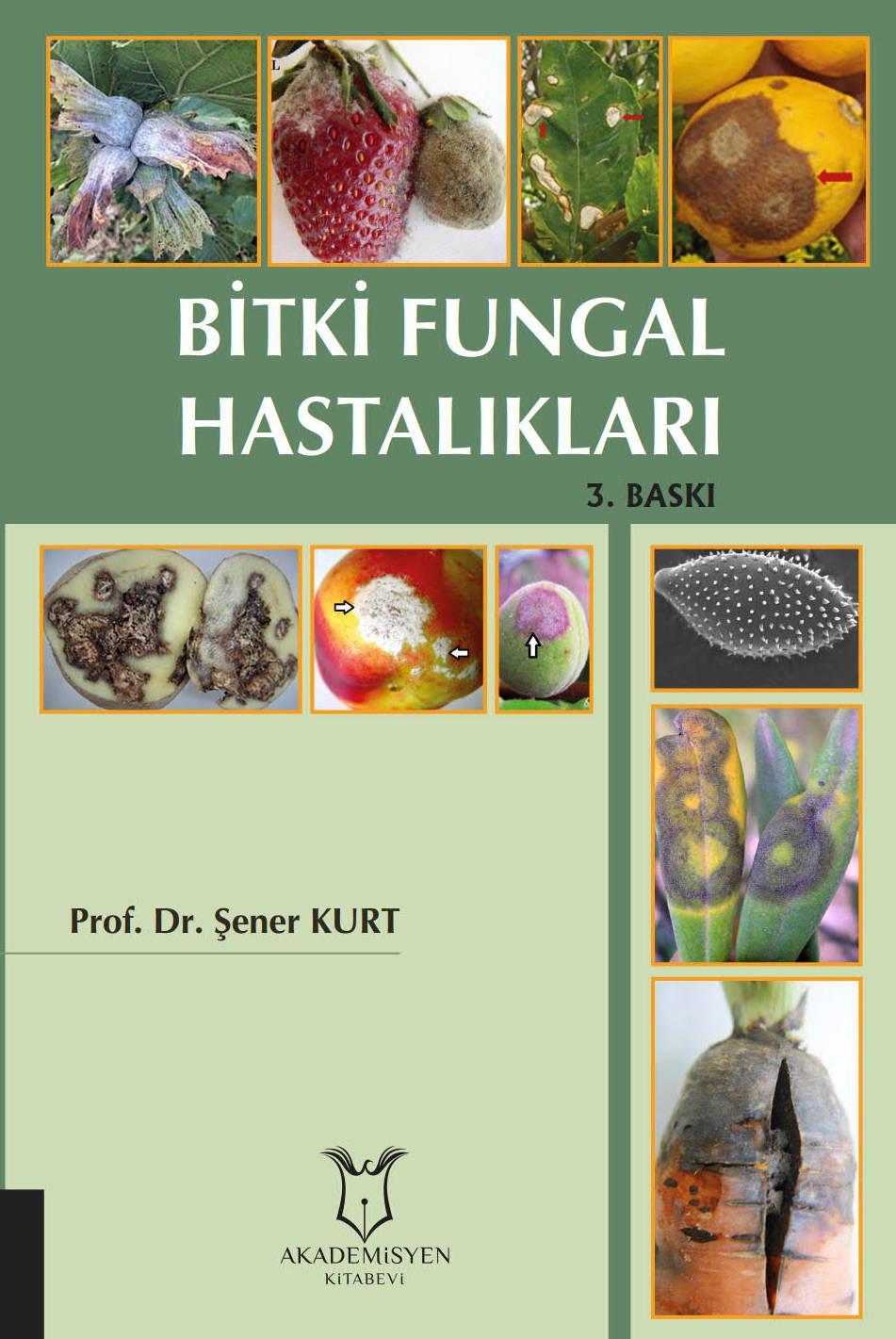 Bitki Fungal Hastalıkları