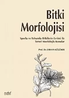 Bitki Morfolojisi Sporlu ve Tohumlu Bitkilerin Evrimi ile Temel Morfolojik Konular