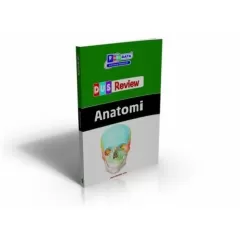 DUS Review Serisi Anatomi