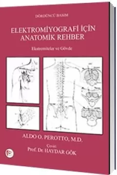 Elektromiyografi için Anatomik Rehber, Ekstremiteler ve Gövde