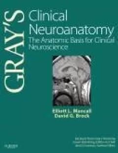 Gray`s Clinical Neuroanatomy