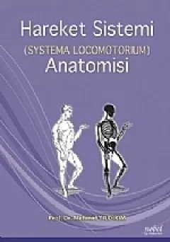 Hareket Sistemi (Systema Locomotorium) Anatomisi