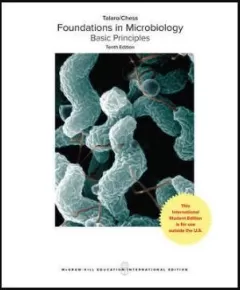 ISE Foundations In Microbiology: Basic Principles