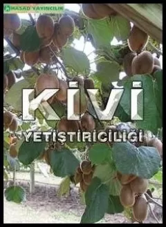 Kivi Yetiştiriciliği Kitabı