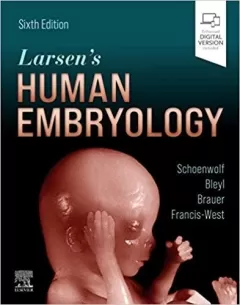 Larsen`s Human Embryology,6th Edition