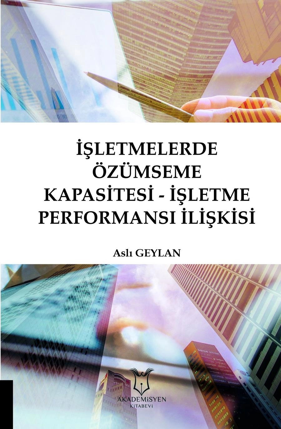 İşletmelerde Özümseme Kapasitesi - İşletme Performansı İlişkisi