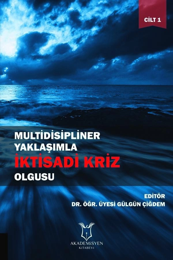 Multidisipliner Yaklaşımla İktisadi Kriz Olgusu - Cilt 1