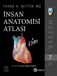 Netter İnsan Anatomisi Atlası