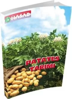 Patates Tarımı