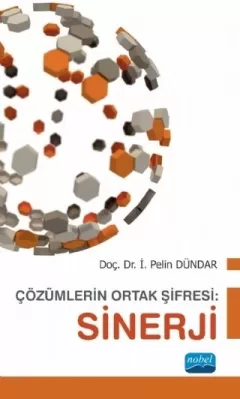 Çözümlerin Ortak Şifresi: SİNERJİ